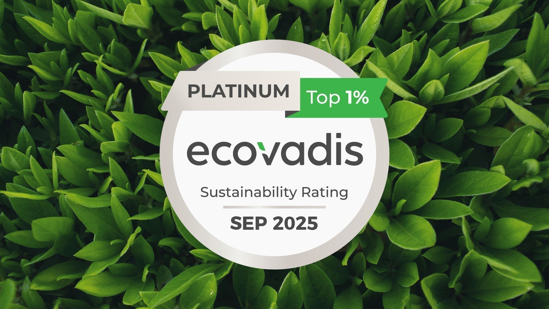 Safety Jogger Works behaalt hoogste EcoVadis Platinum status