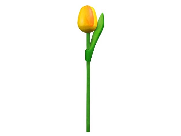 GEVAVI - HOUTEN TULP 20 CM.