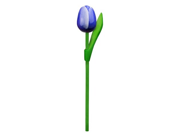 GEVAVI - HOUTEN TULP 20 CM.