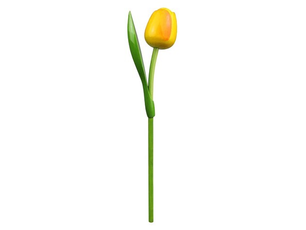 GEVAVI - HOUTEN TULP 34 CM