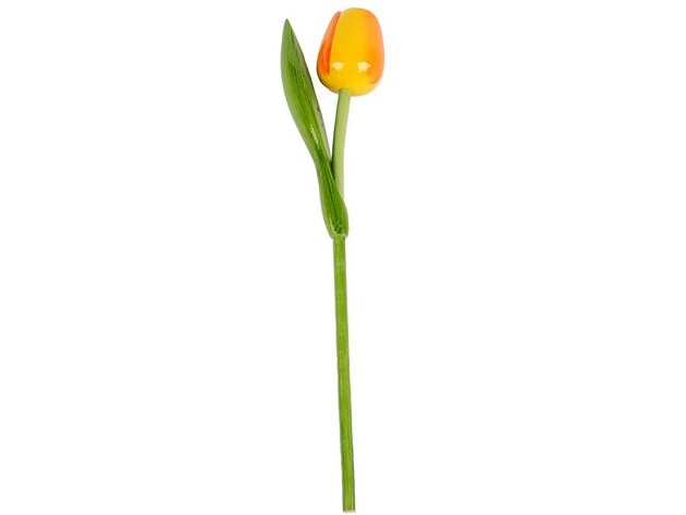 GEVAVI - HOUTEN TULP 34 CM