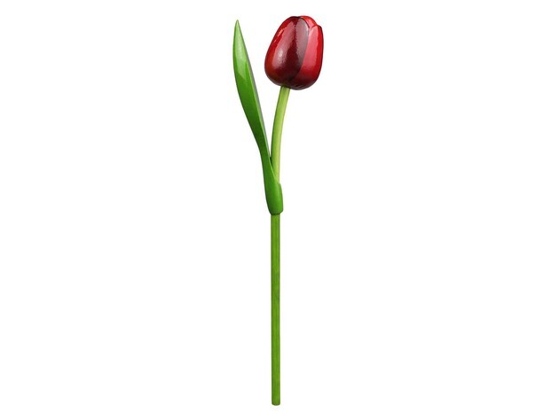 TULP
